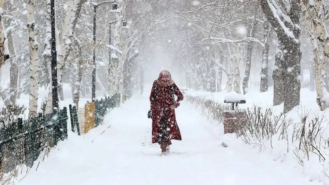 İSTANBUL'DA OKULLAR TATİL OLABİLİR: Altay kar fırtınası heryeri bembeyaz yapacak: 30 cm kar yağabilir! 5